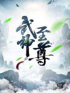 武神至尊叶风全文免费