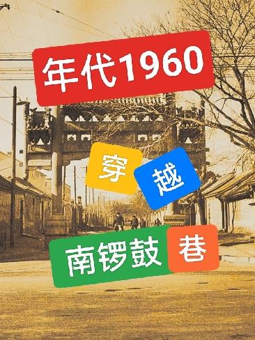 1960南锣鼓巷四合院电视剧